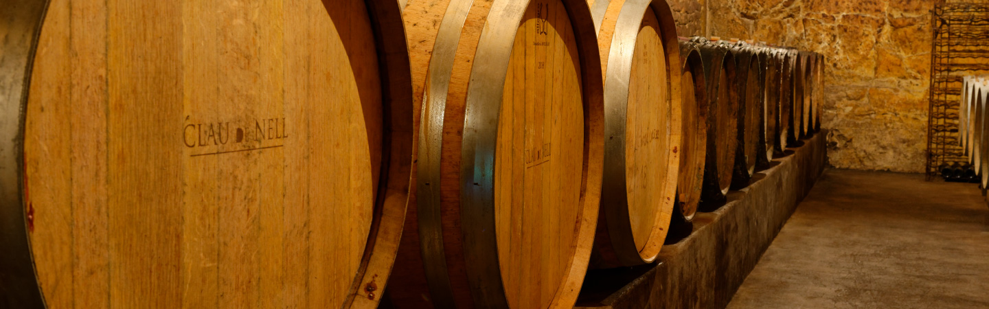 Tonneaux vin à la cave