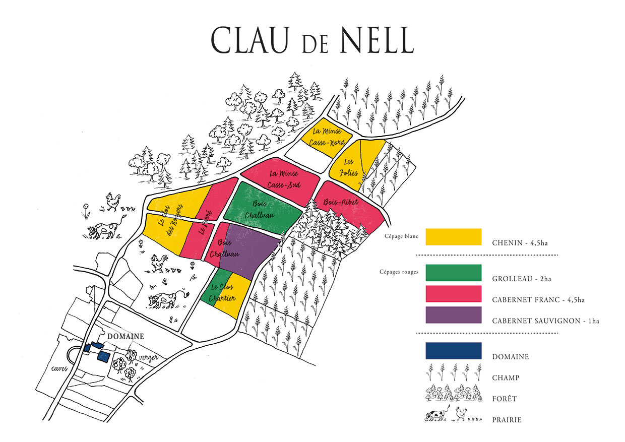 Répartition parcellaire du domaine Clau de Nell