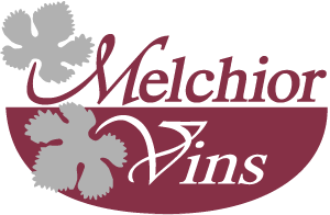melchior vins